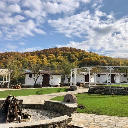 Satul Cu Flori Buzau Exterior foto