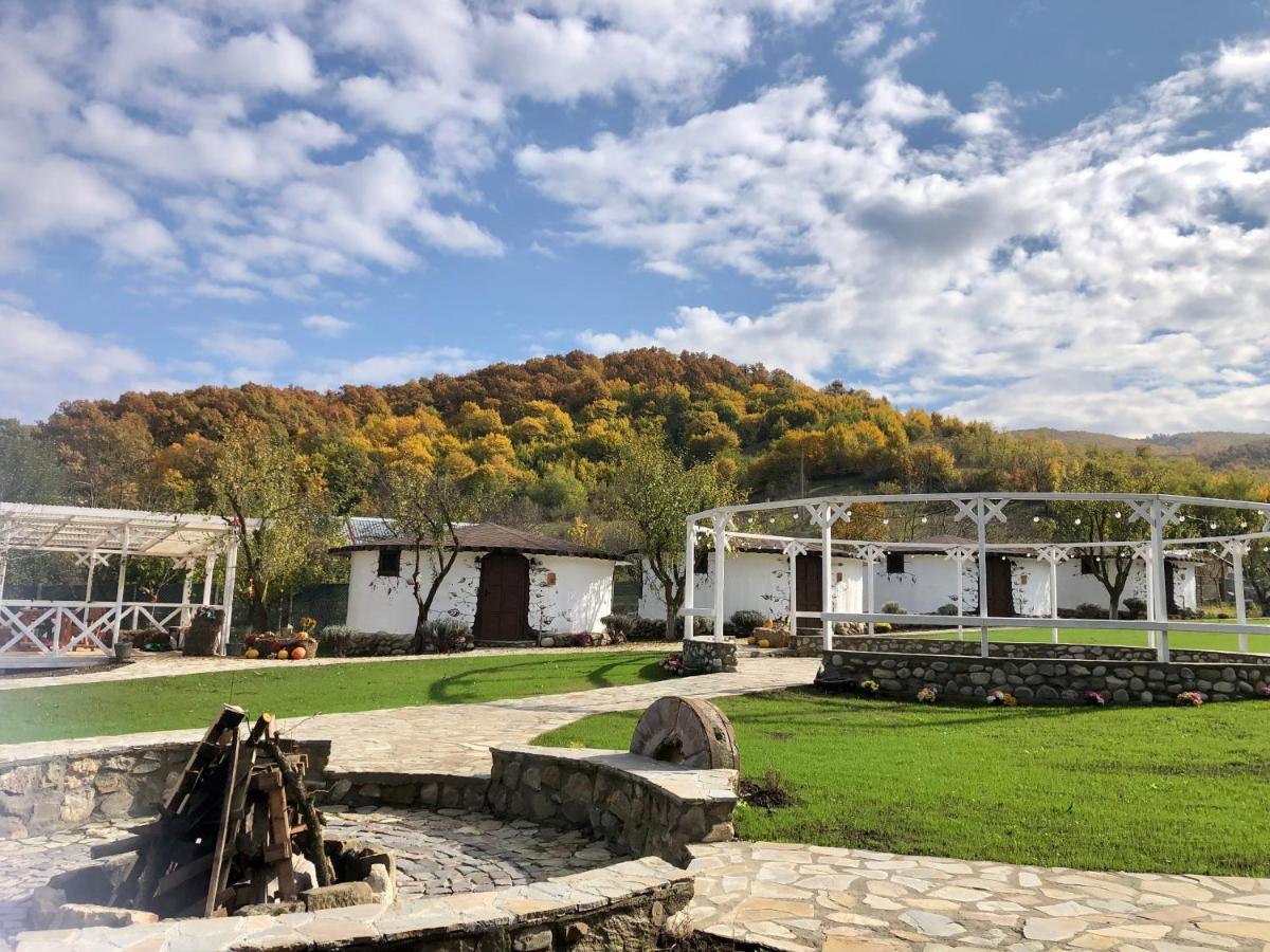 Satul Cu Flori Buzau Exterior foto